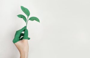 Energooszczędność w domu: kluczowe kroki do oszczędzania energii i środowiska
